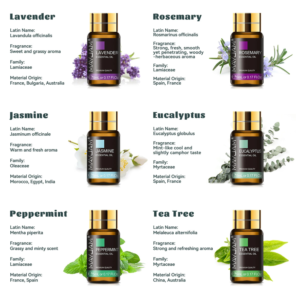 Mayjam 35 Bottles Essential Oils Collection With Gift Box
