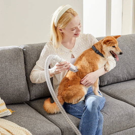 Professional Pet Grooming Vacuum Kit With Quiet Cordless Clippers