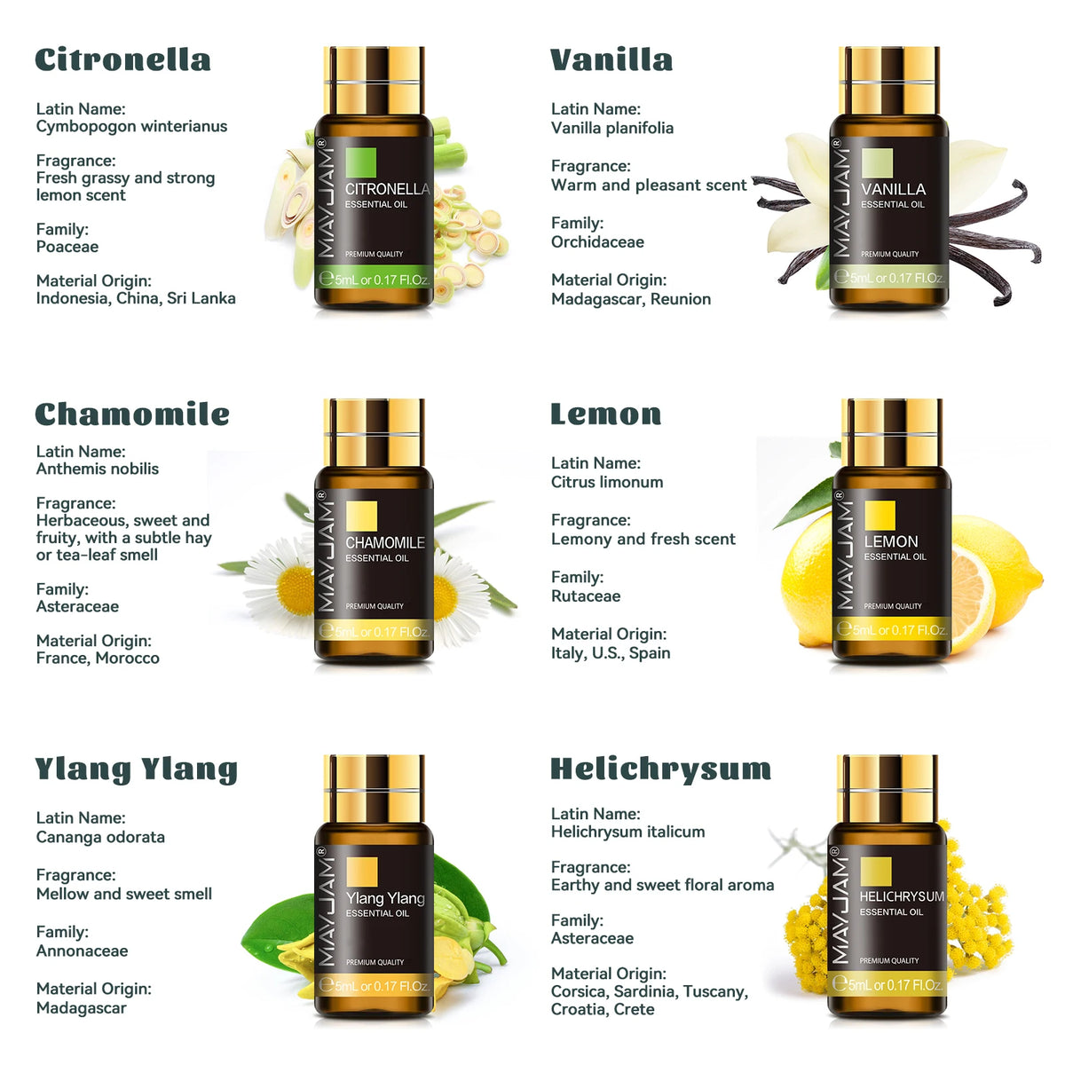 Mayjam 35 Bottles Essential Oils Collection With Gift Box